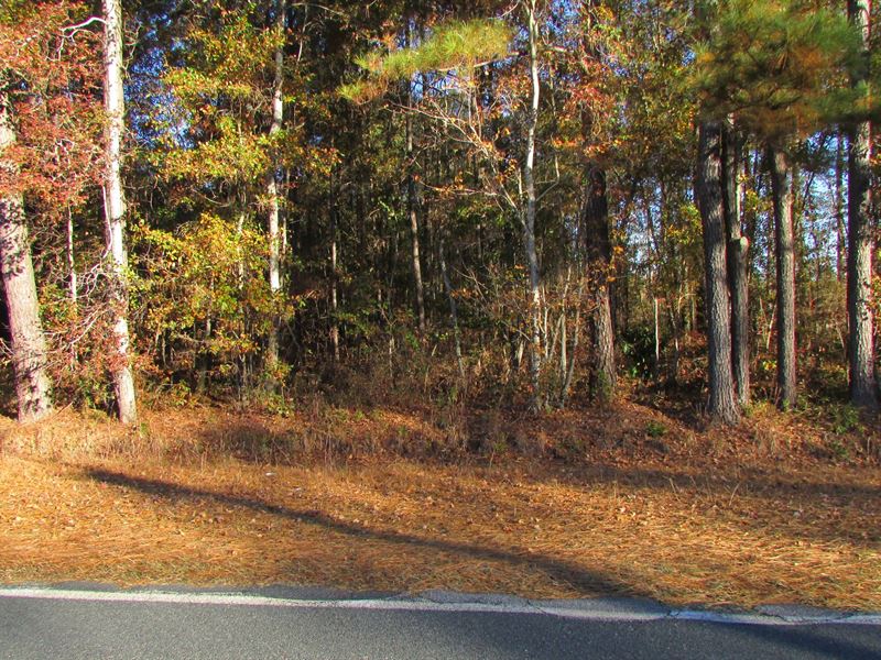 Cox Road Tract, Farm for Sale in South Carolina, 299124 FARMFLIP