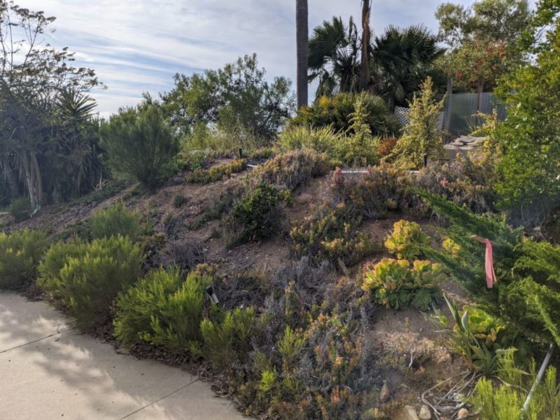 Poway Next to Park Development Land : Poway : San Diego County : California