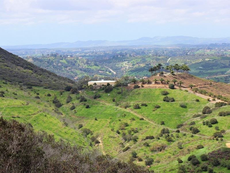Incredible Fallbrook Homesite, Farm for Sale in California, 299609 FARMFLIP