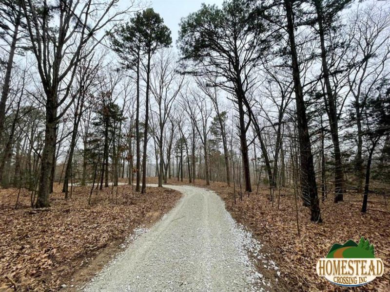 River Frontage On Big Piney River, Farm for Sale by Owner in Missouri, 299631 FARMFLIP