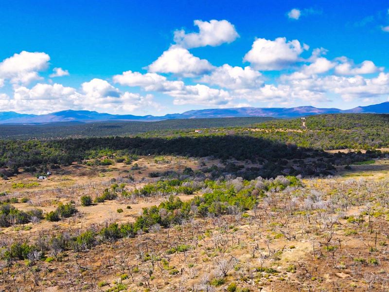 Power & Access Near National Forest : Estancia : Torrance County : New Mexico