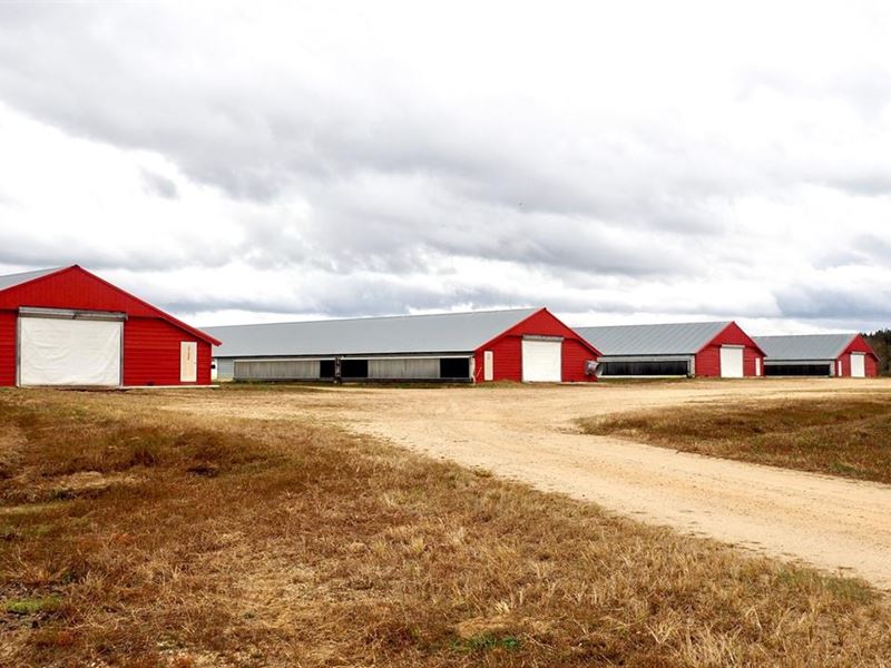 Poultry Farm 8 House Broiler Farm, Farm for Sale in Mississippi