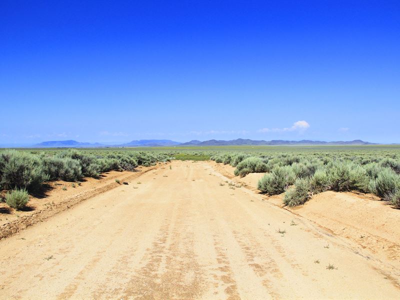 Grab This Exclusive 15 Acres : San Luis : Costilla County : Colorado
