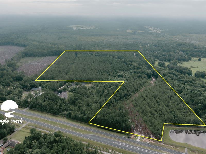 50.62 Acres Ingle Creek, Bryceville : Bryceville : Nassau County : Florida