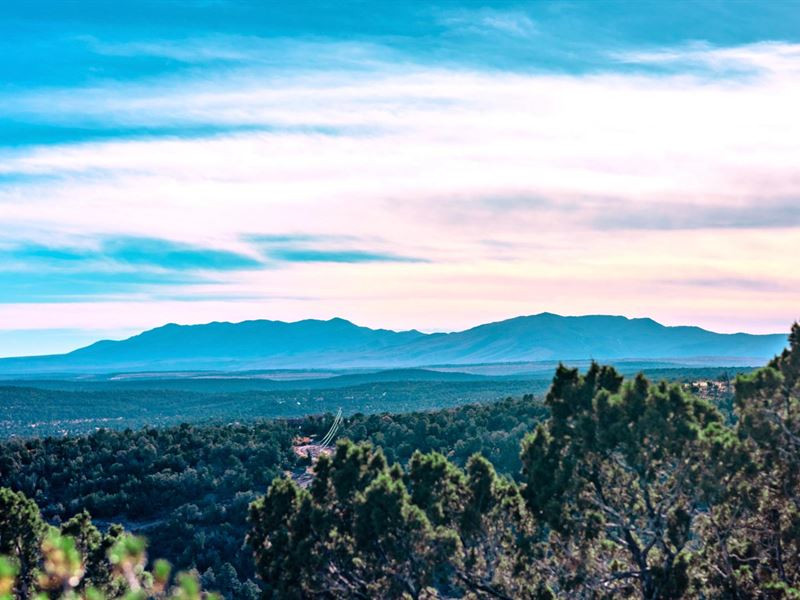 Wooded, Access, Near Ntnl Forest : Estancia : Torrance County : New Mexico