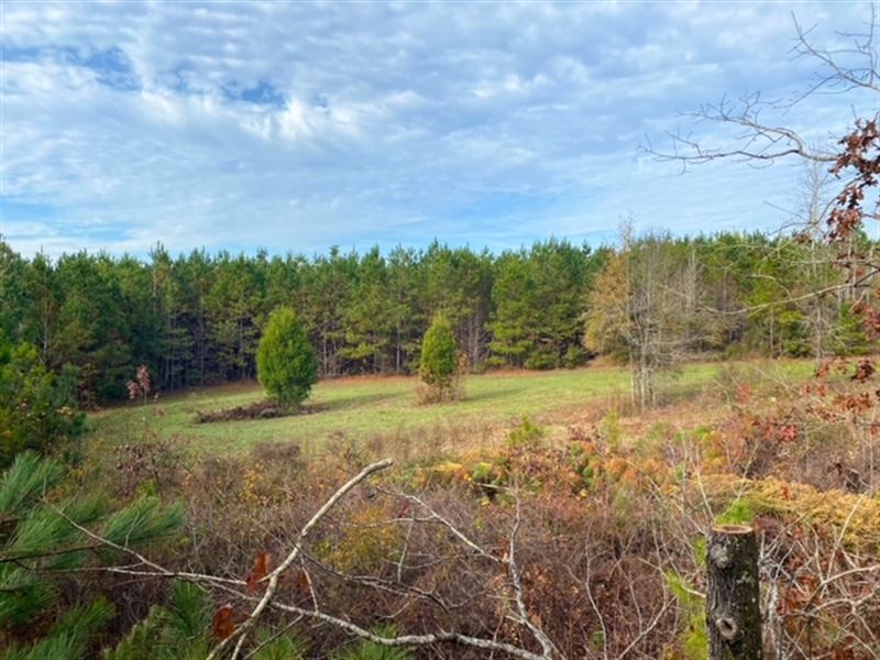 Peake Road Property, Farm for Sale in Alabama, 299962 FARMFLIP