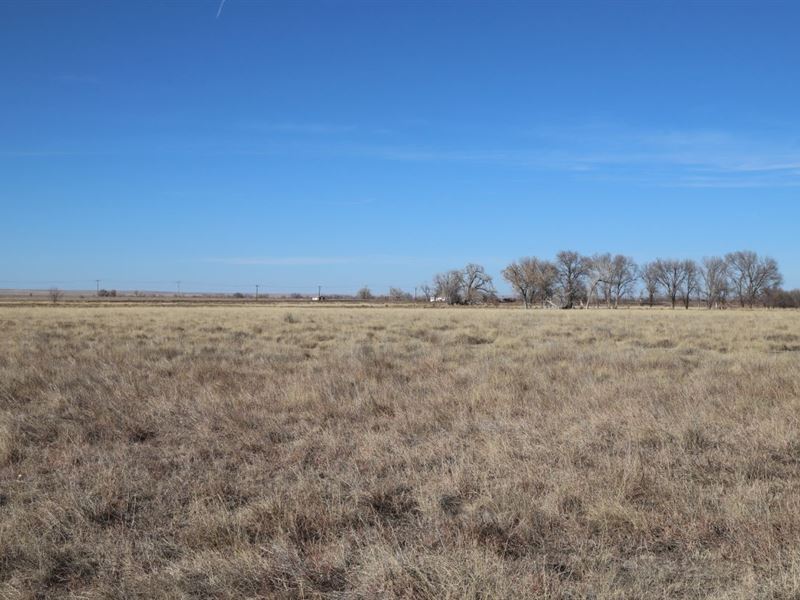Brewer Trust Land & Water Auction, Farm Auction in Colorado, 299970