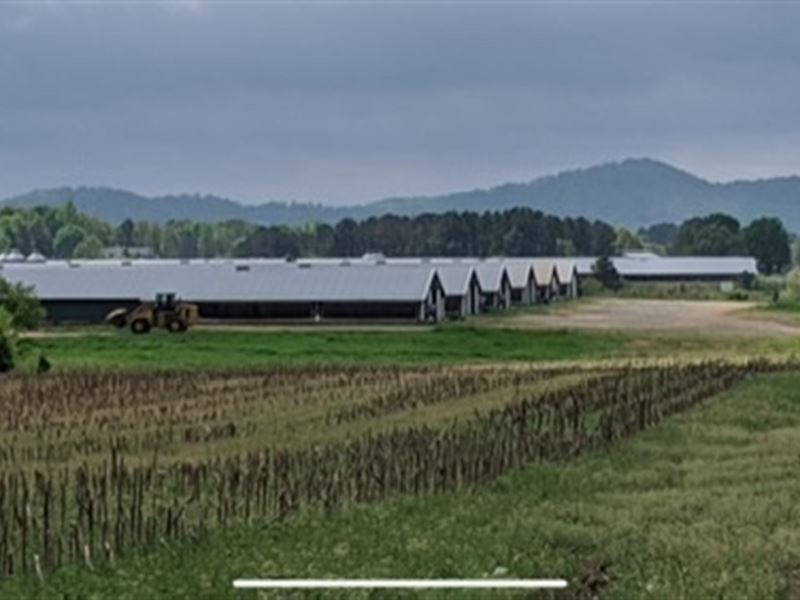Poultry / Chicken Farm for Sale, Farm for Sale by Owner in