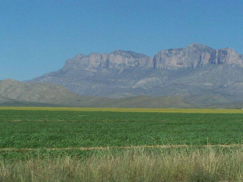 5.1 Beautiful Acres Near Dell City : Dell City : Hudspeth County : Texas