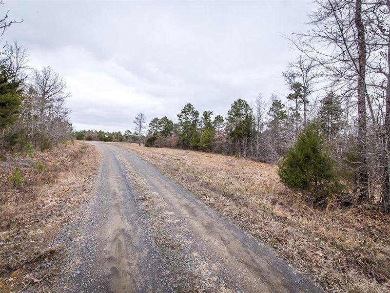 444 Acres in Bee Branch, Cadron, Farm for Sale in Arkansas, 300002