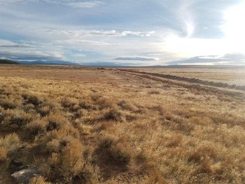 Moutain Views, Water Access : Fort Garland : Costilla County : Colorado