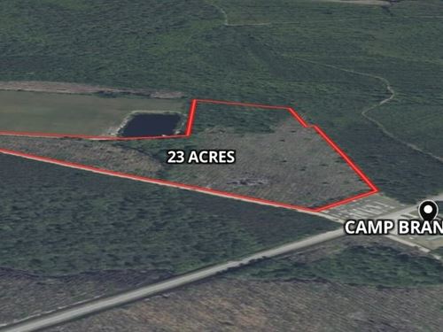 23 Acres on Camp Branch Cross Rd : Waycross : Ware County : Georgia