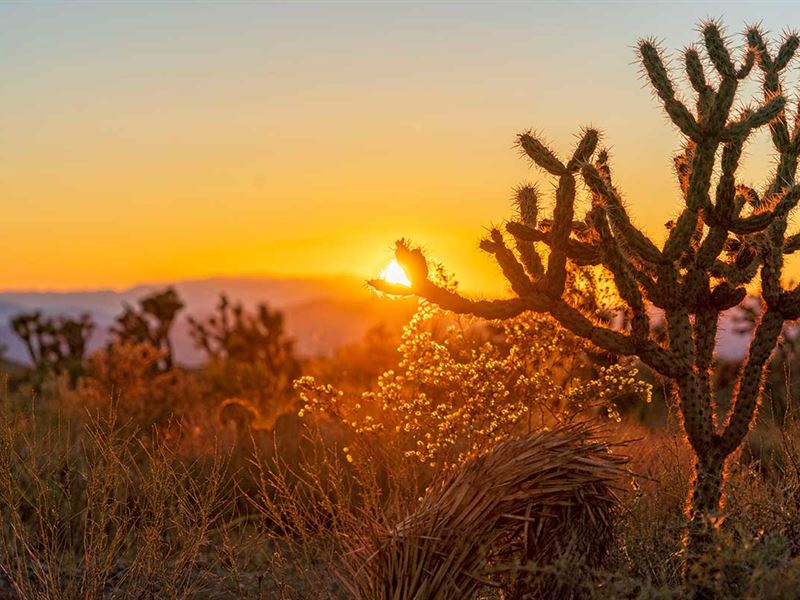 Large Ranches Near Las Vegas, Farm for Sale by Owner in Arizona