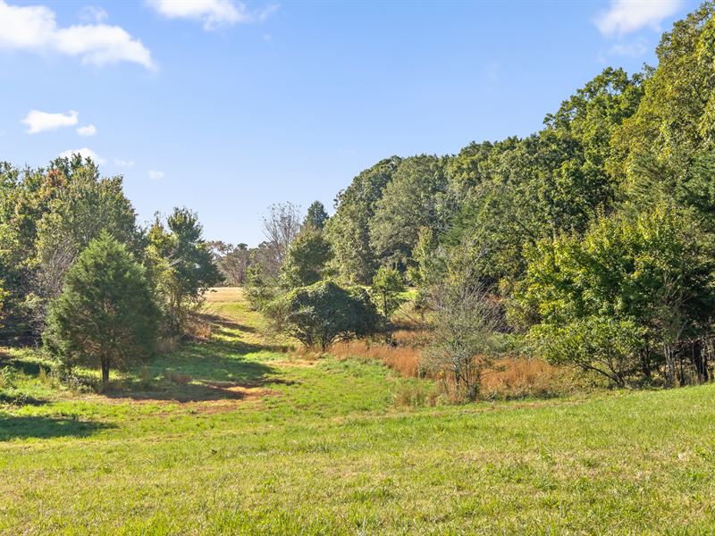 Acreage Near State Park : Rising Fawn : Dade County : Georgia