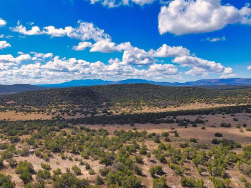 10 Acres w Power by National Forest : Estancia : Torrance County : New Mexico