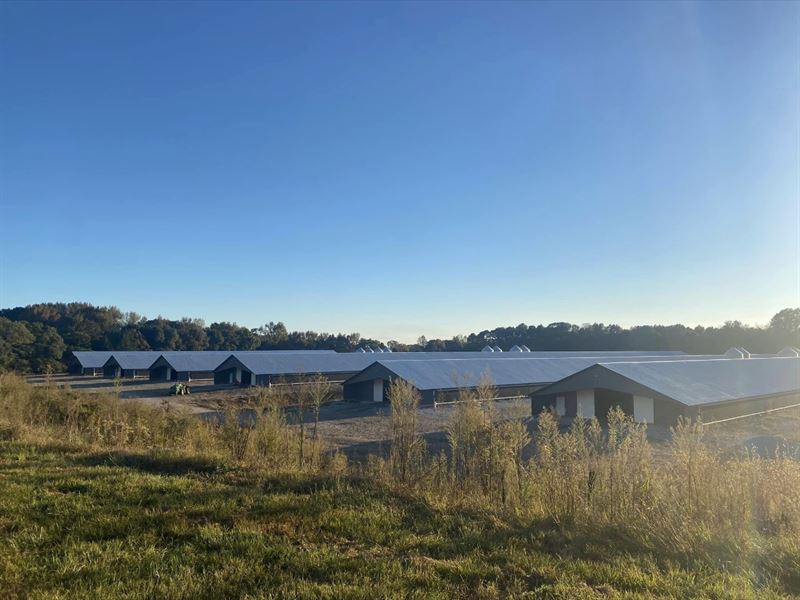 10 Houses Poultry Farm for Sale, Farm for Sale by Owner in North