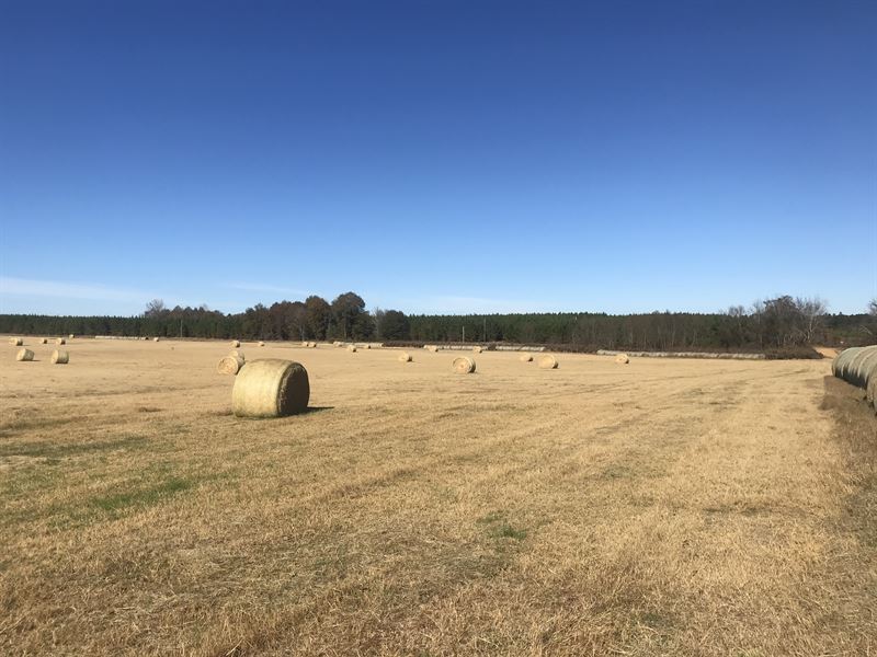87 Acres in Emanuel County, Farm Auction in 300552 FARMFLIP