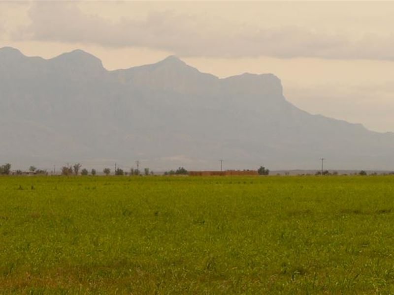 5 Beautiful Acres Near Dell City, Farm for Sale by Owner in Texas