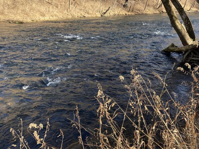 Niangua River Property, Farm for Sale in Missouri, 301067 FARMFLIP