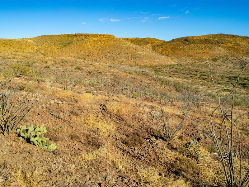 Beautiful Mountain Views, $599 Down : Douglas : Cochise County : Arizona