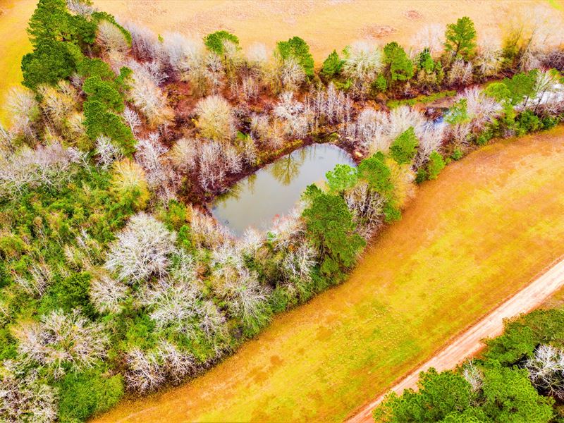 Unrestricted Land, Mineral Rights, Farm for Sale by Owner in Texas, 301401 FARMFLIP