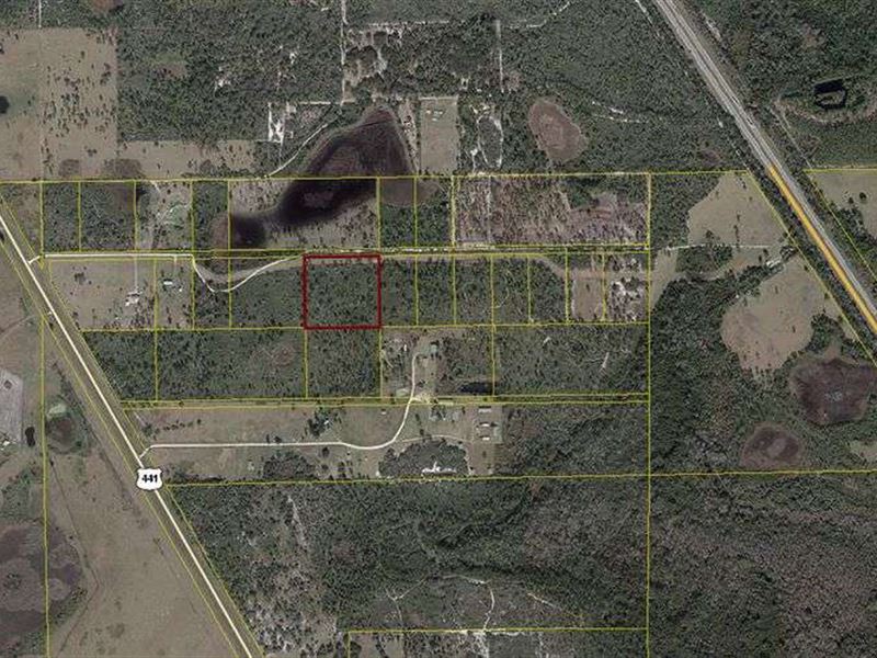 Residential Land, Okeechobee County, Farm Auction in Florida, 301784