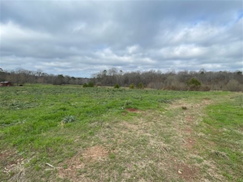 12 Acre Lot in Morgan County : Madison : Morgan County : Georgia