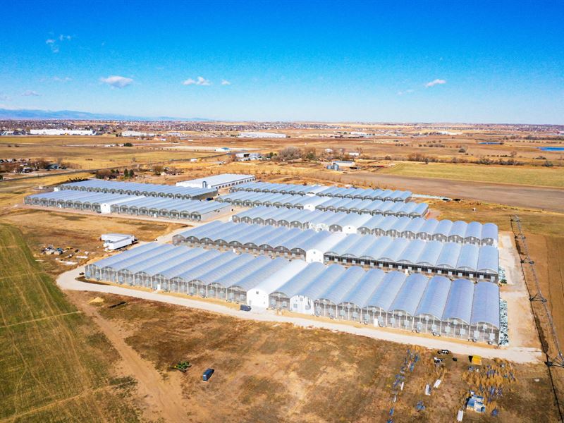 Brighton Greenhouses, Land Water, Farm for Sale in Colorado, 302066