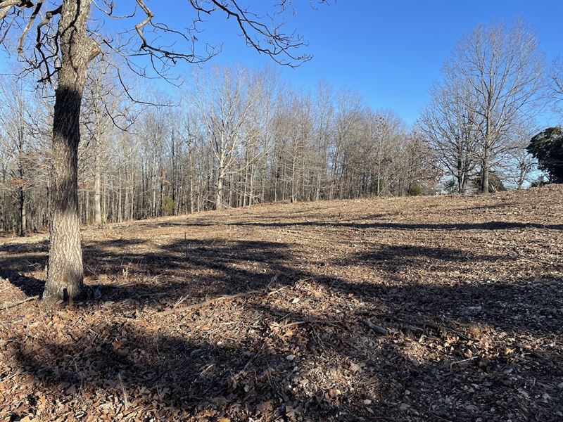 Land for Sale in Southern Missouri, Farm for Sale in Missouri, 302099