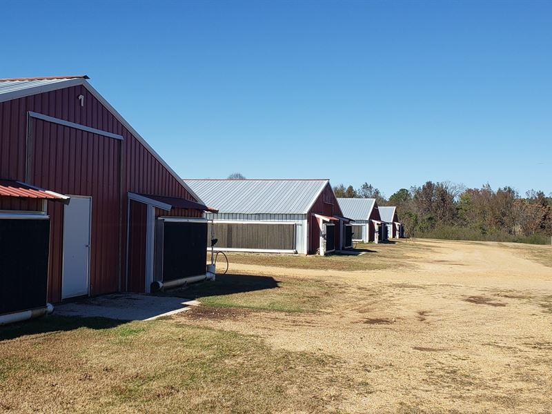 7 House Poultry Farm on 70 Acres : Brookhaven : Lincoln County : Mississippi