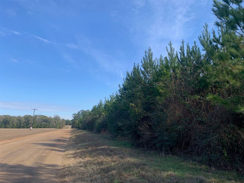 42 Acres, T1 Nursery Road : Livingston : Polk County : Texas