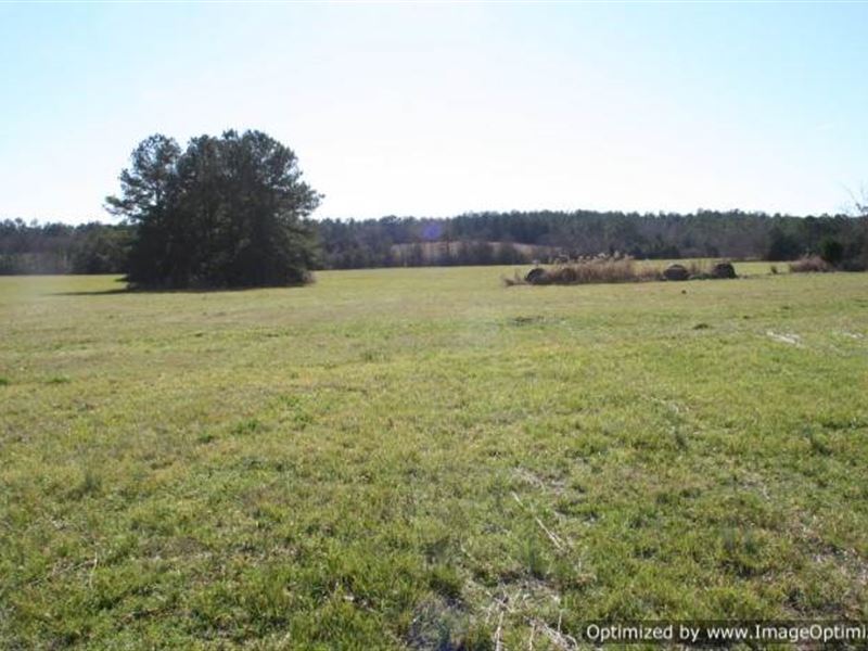 68 Ac Pasture Land In Jasper County Farm for Sale in Rose Hill