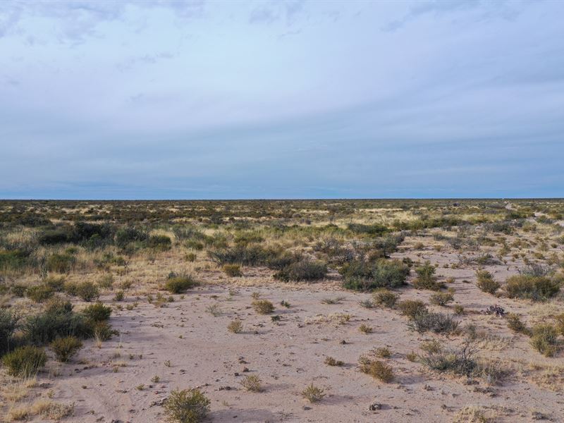 Put Gunsight Ranch in Your Sights : Sierra Blanca : Hudspeth County : Texas