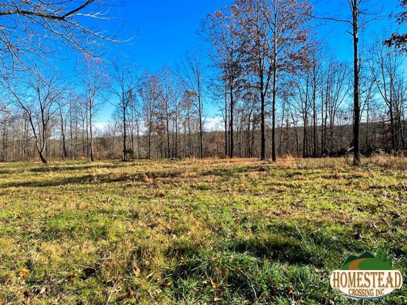 Ideal Mixture of Open & Wooded Land : West Plains : Howell County : Missouri