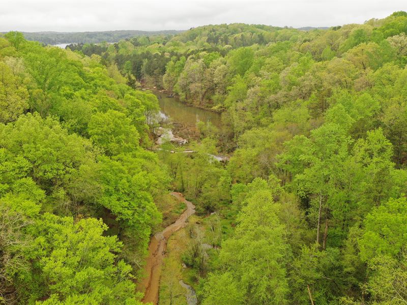 Interior Lake Acreage : Fair Play : Oconee County : South Carolina