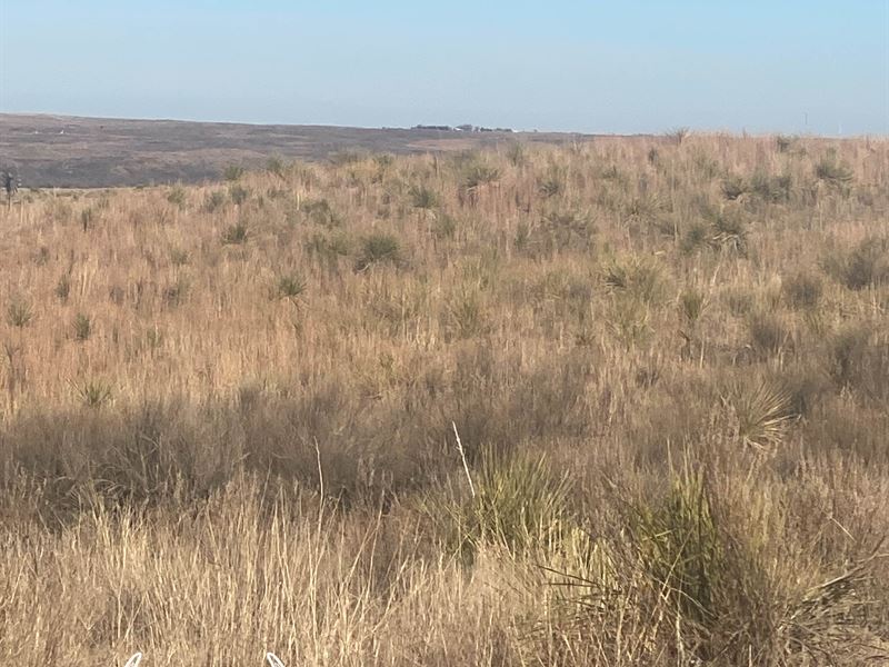 320 Acres M/L Beaver County, OK, Farm for Sale in Oklahoma, 302767