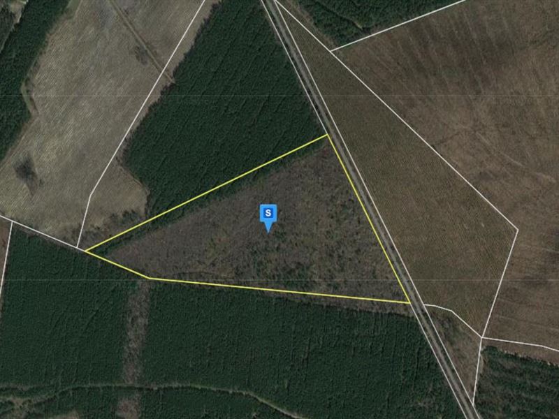 48 Ac in Northampton County, NC, Farm for Sale by Owner in North
