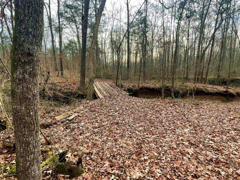 24.53 Acres in Hardin County, TN : Sardis : Hardin County : Tennessee