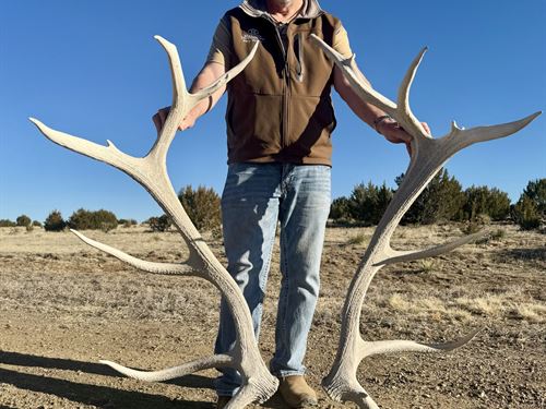 Hidden Gem of Poitry Canyon : Branson : Las Animas County : Colorado