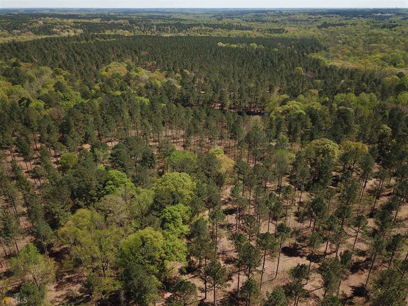 Heart of Georgia Acreage : Madison : Morgan County : Georgia