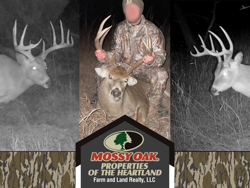 Sedgwick County Hunting and Land : Mulvane : Sedgwick County : Kansas