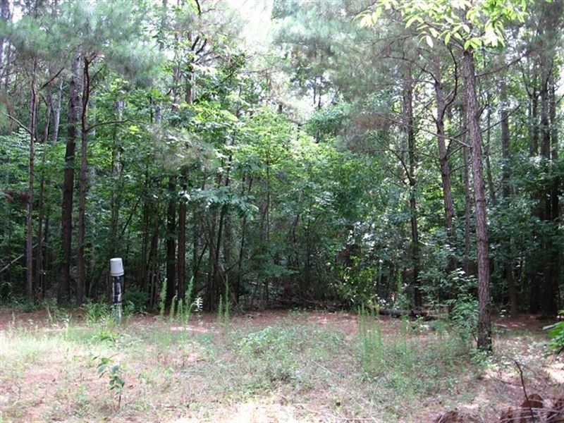 Sellers Tract, Mendenhall : Mendenhall : Simpson County : Mississippi