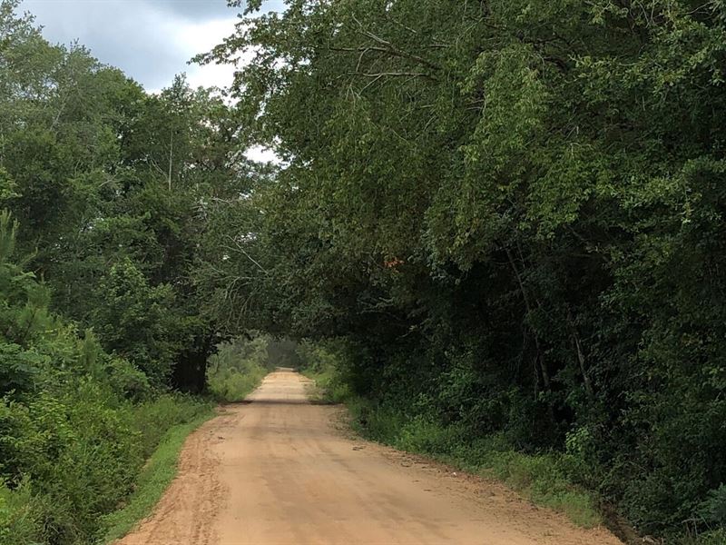 Rhine Tract, Farm for Sale in 303250 FARMFLIP