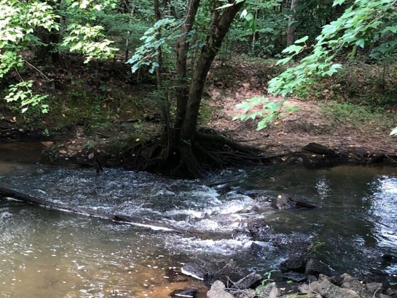 Big Creek Tract : East Dublin : Laurens County : Georgia