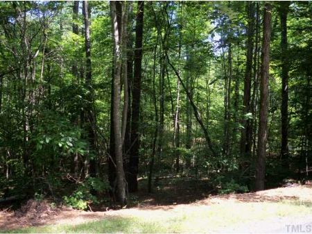 Great Location : Chapel Hill : Chatham County : North Carolina