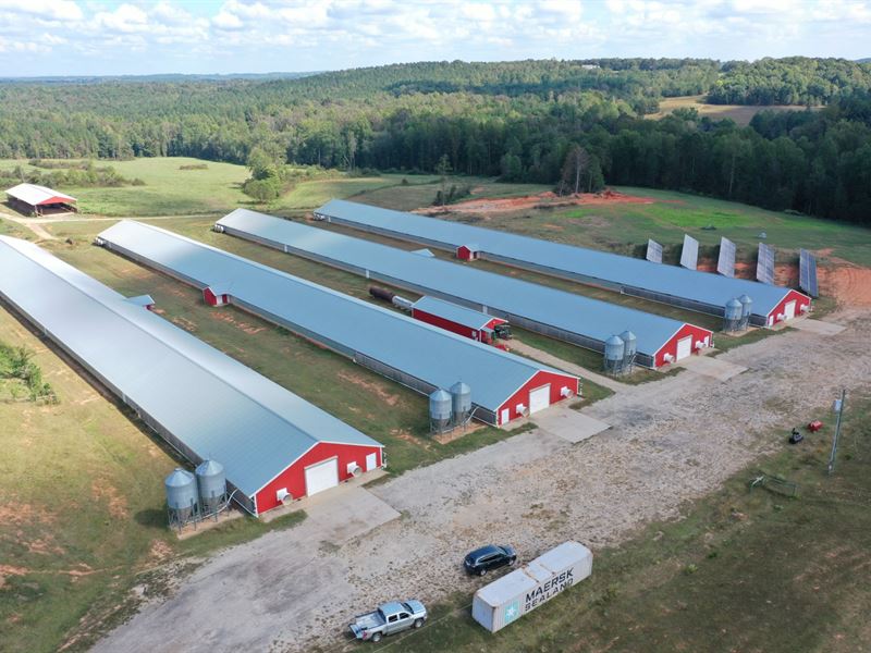 Union Co Poultry Farm : Jonesville : Union County : South Carolina