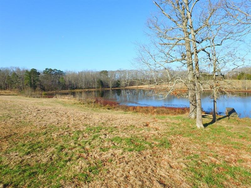 Amazing Pastureland Overlooking 5 : Hillsboro : Lawrence County : Alabama
