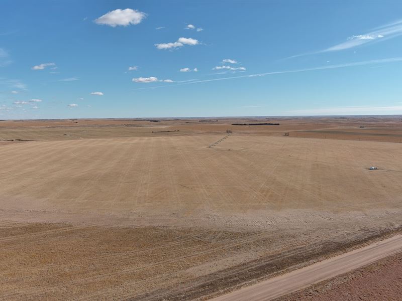 Dundy County, Pivot Irrigated Land, Farm Auction in Nebraska, 304086
