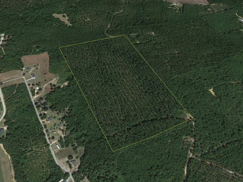 Rembert Tract Mc8983 Farm for Sale in Rembert, Sumter County, South