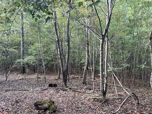 52.52 +/- Wooded Ac, Bartow County : Adairsville : Bartow County : Georgia
